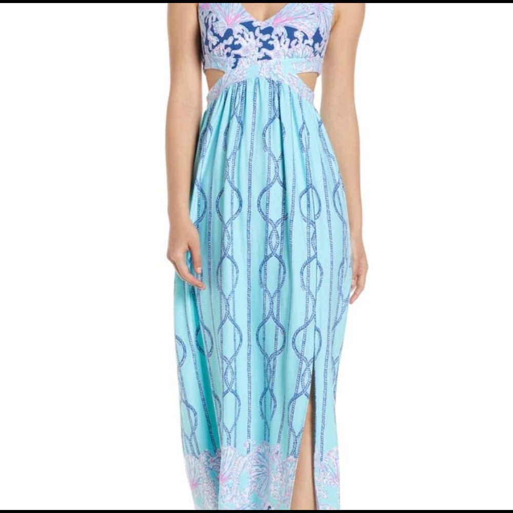 NWT Marcia dress with free luggage tag